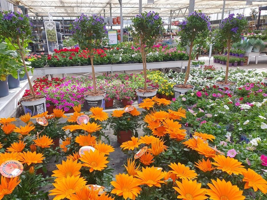 Foto's Tuincentrum de Bosrank