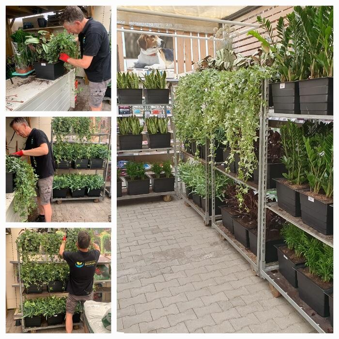 Foto's Tuincentrum de Bosrank