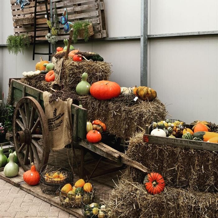 Foto's Tuincentrum de Bosrank