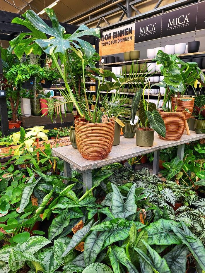 Foto's Tuincentrum Daniëls