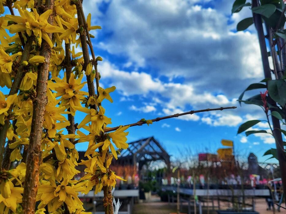 Foto's Tuincentrum Daniëls