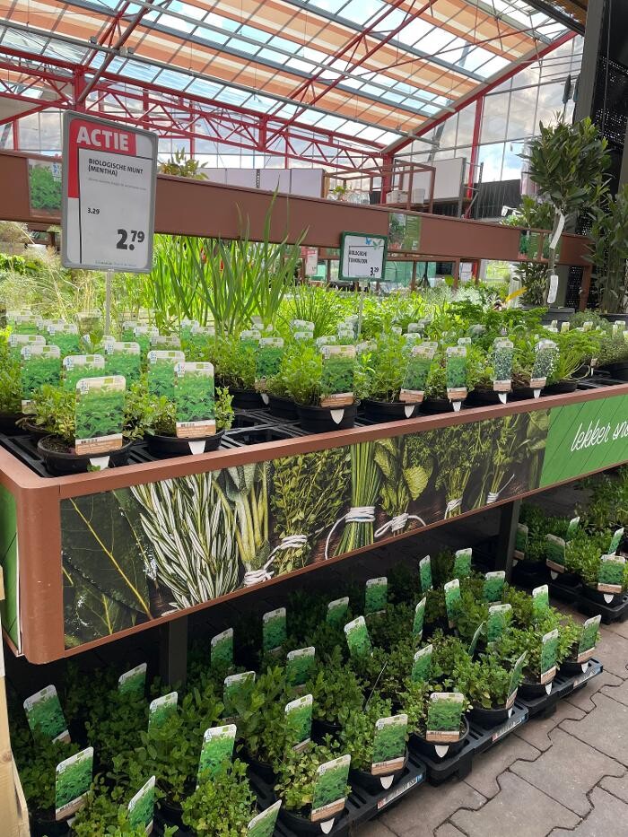 Foto's Intratuin Zoetermeer