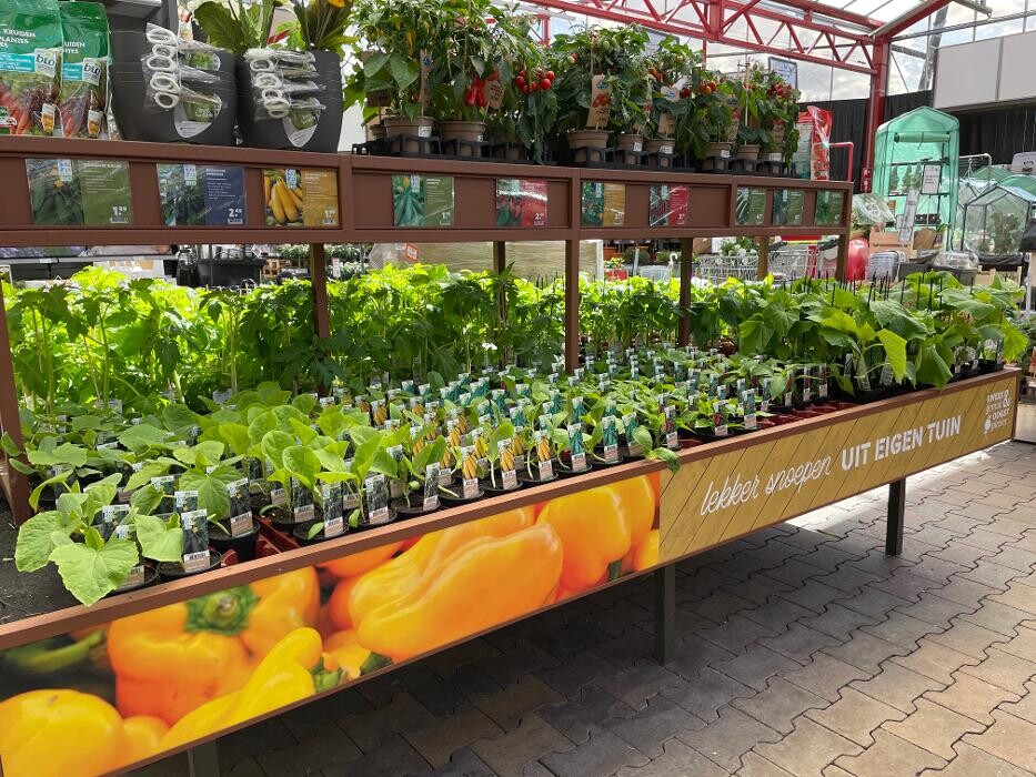 Foto's Intratuin Zoetermeer
