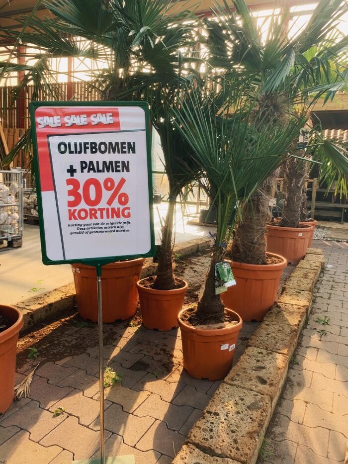 Foto's Intratuin Zoetermeer
