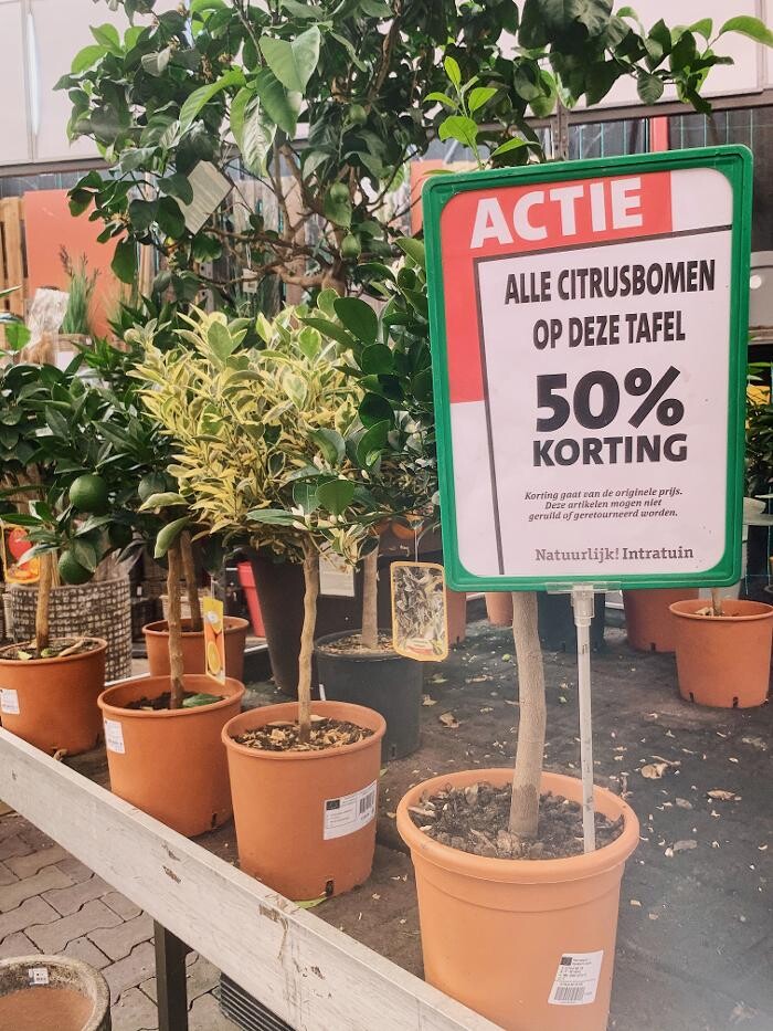 Foto's Intratuin Zoetermeer