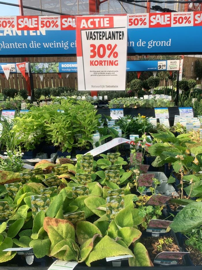 Foto's Intratuin Zoetermeer