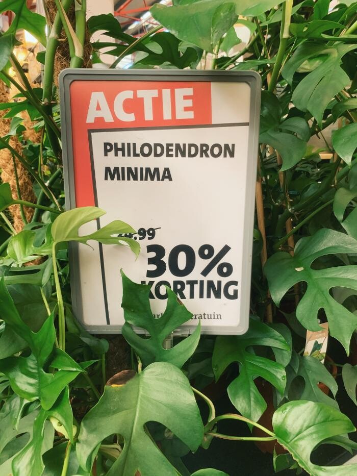 Foto's Intratuin Zoetermeer