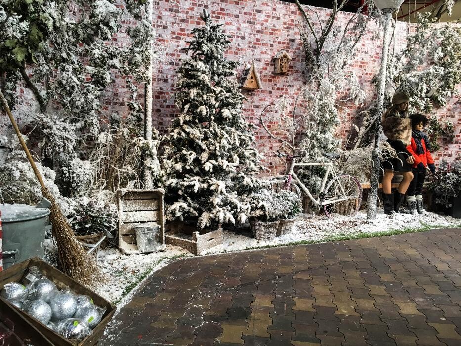 Foto's Intratuin Zoetermeer