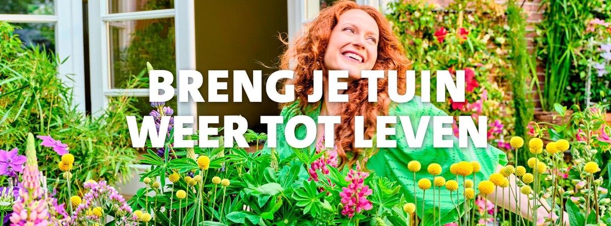Foto's Intratuin Zoetermeer