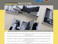 Screenshot for www.seugling.nl