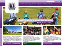 Screenshot for www.borchland.nl