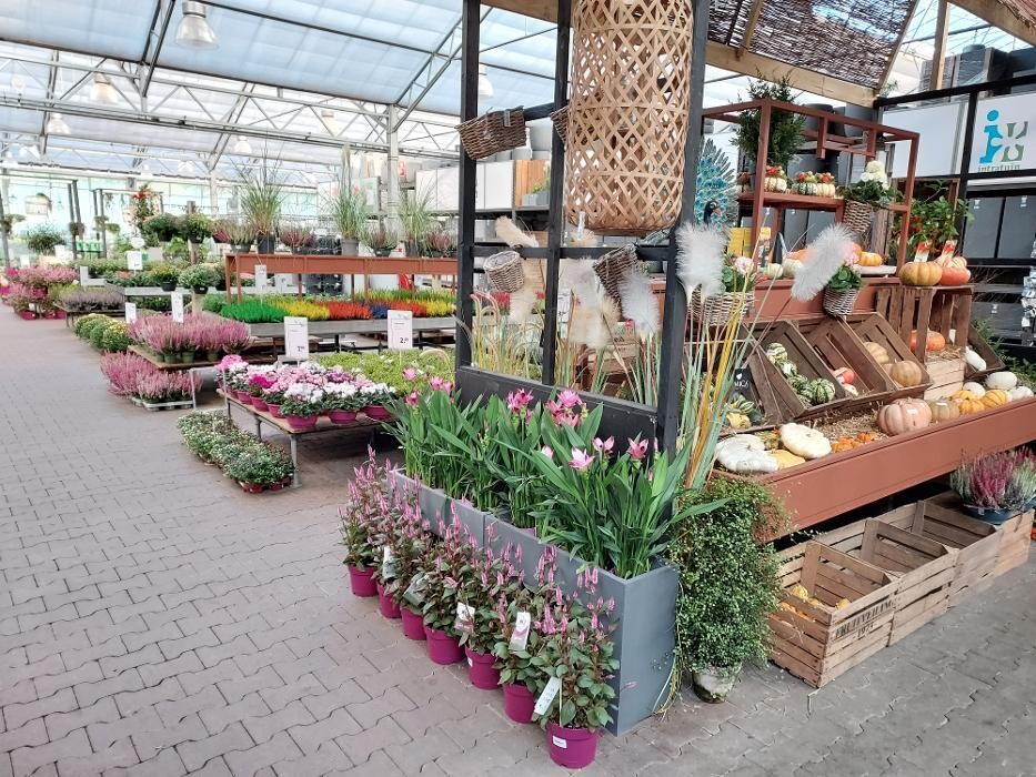 Foto's Intratuin Amersfoort