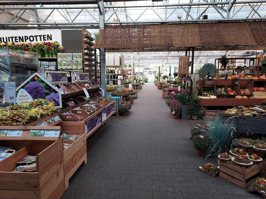 Foto's Intratuin Amersfoort