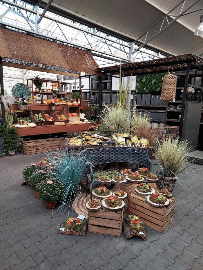 Foto's Intratuin Amersfoort
