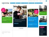 Screenshot for wellant.nl