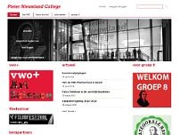 Screenshot for www.pieternieuwland.nl