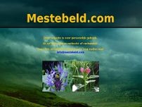 Screenshot for www.mestebeld.com