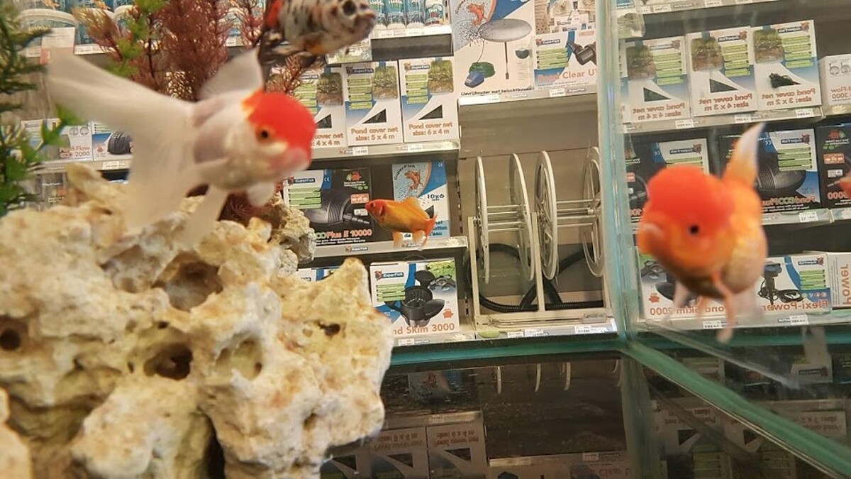 Foto's Pets Place Boerenbond