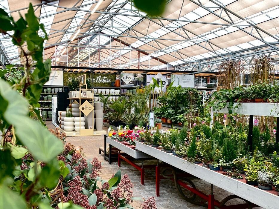 Foto's Intratuin Rhoon