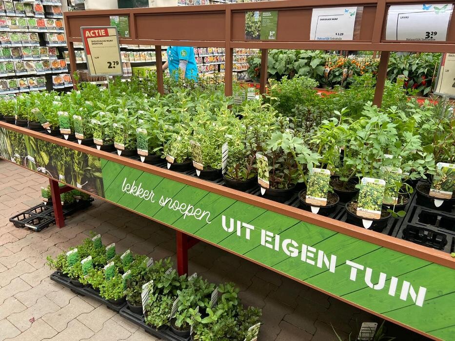 Foto's Intratuin Rhoon