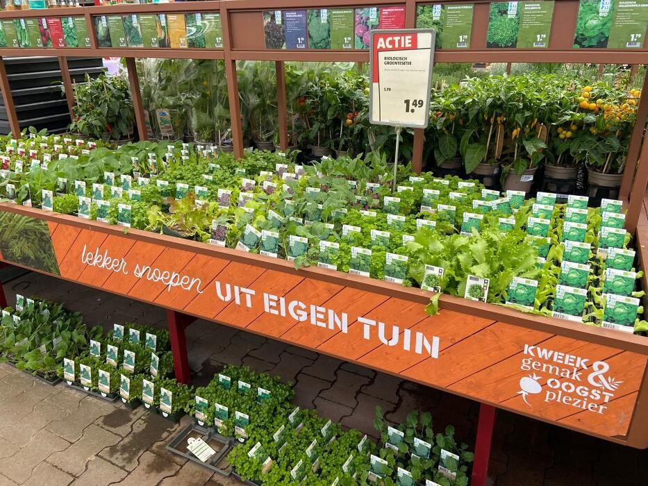 Foto's Intratuin Rhoon