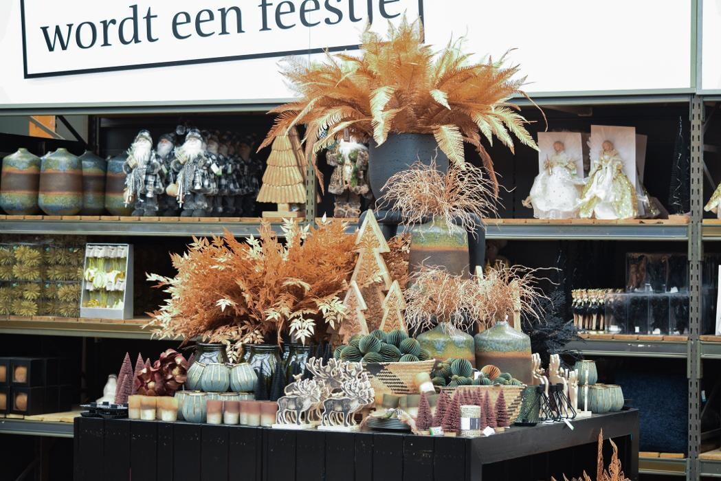 Foto's Intratuin Rhoon