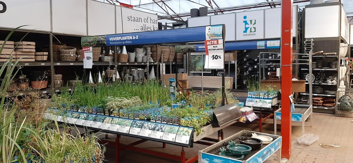 Foto's Intratuin Rhoon