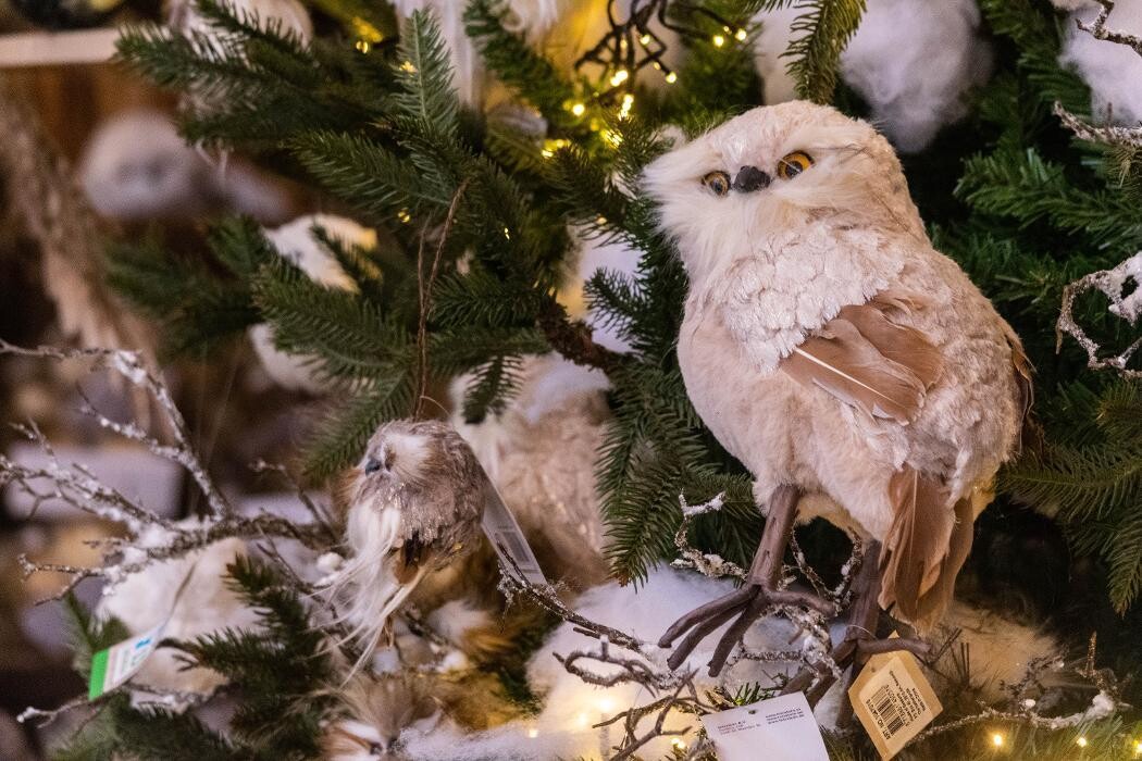Foto's Intratuin Rhoon