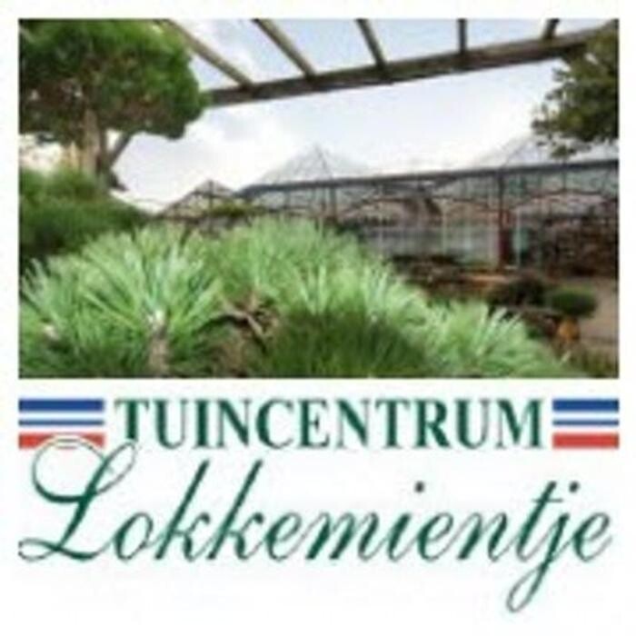 Foto's Tuincentrum Lokkemientje