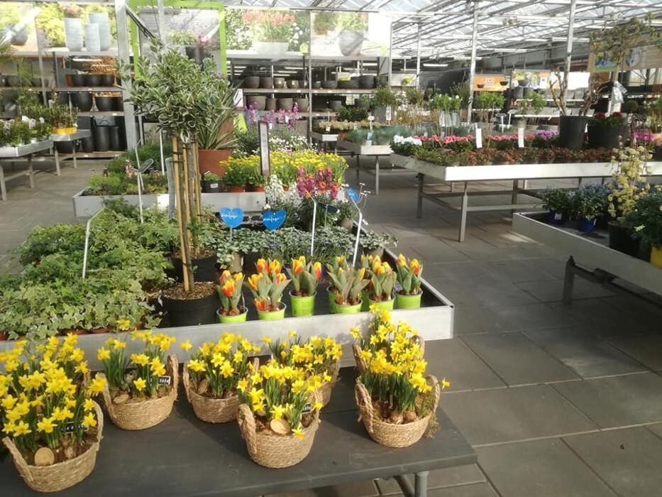 Foto's Huis en Tuin Hoogeveen