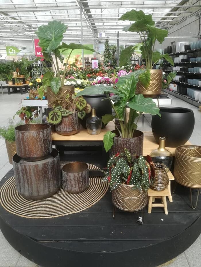 Foto's Huis en Tuin Hoogeveen