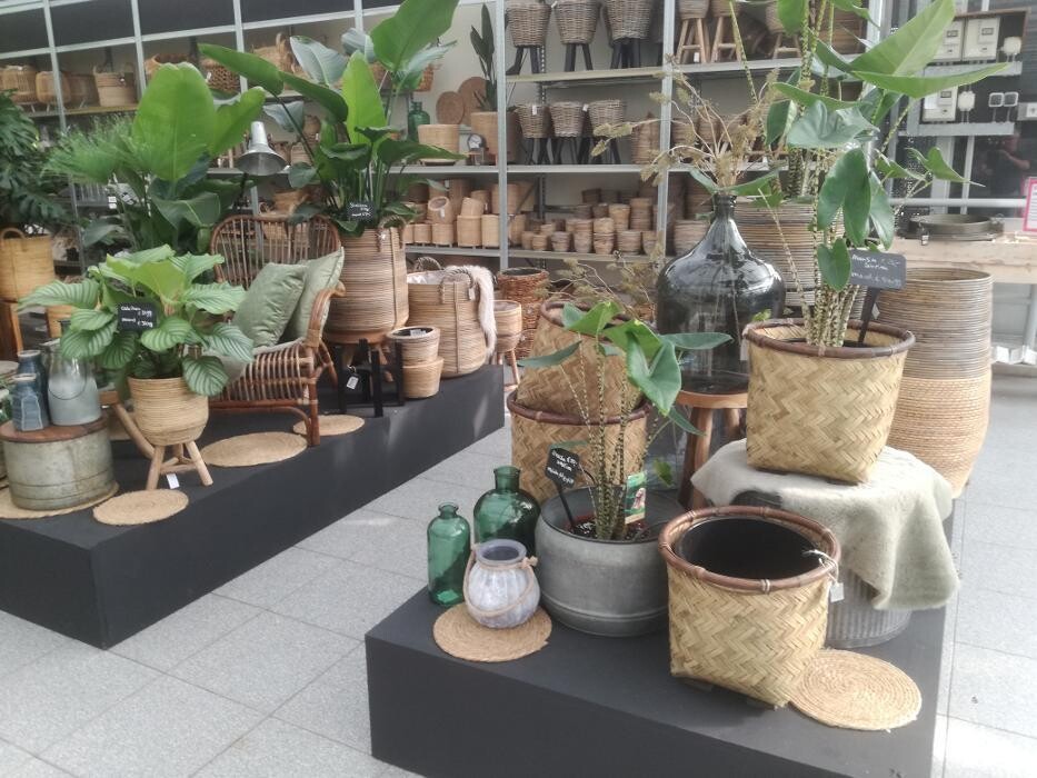 Foto's Huis en Tuin Hoogeveen