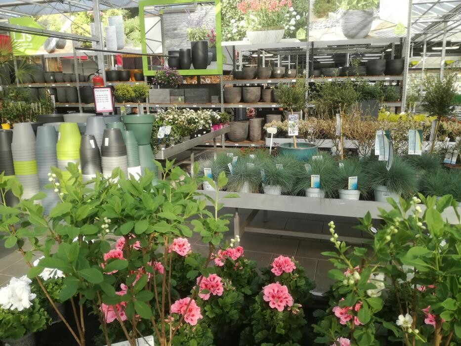 Foto's Huis en Tuin Hoogeveen