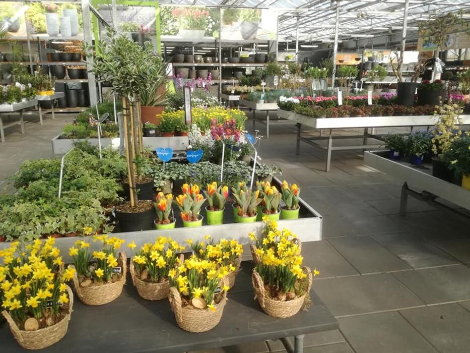 Foto's Huis en Tuin Hoogeveen