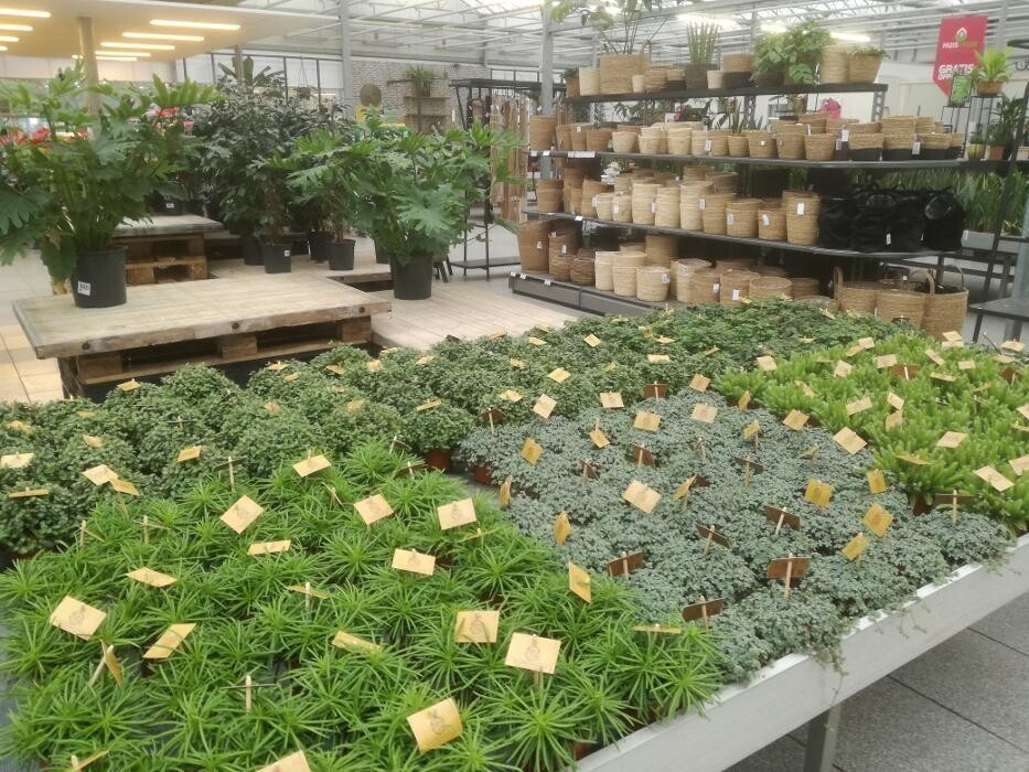 Foto's Huis en Tuin Hoogeveen