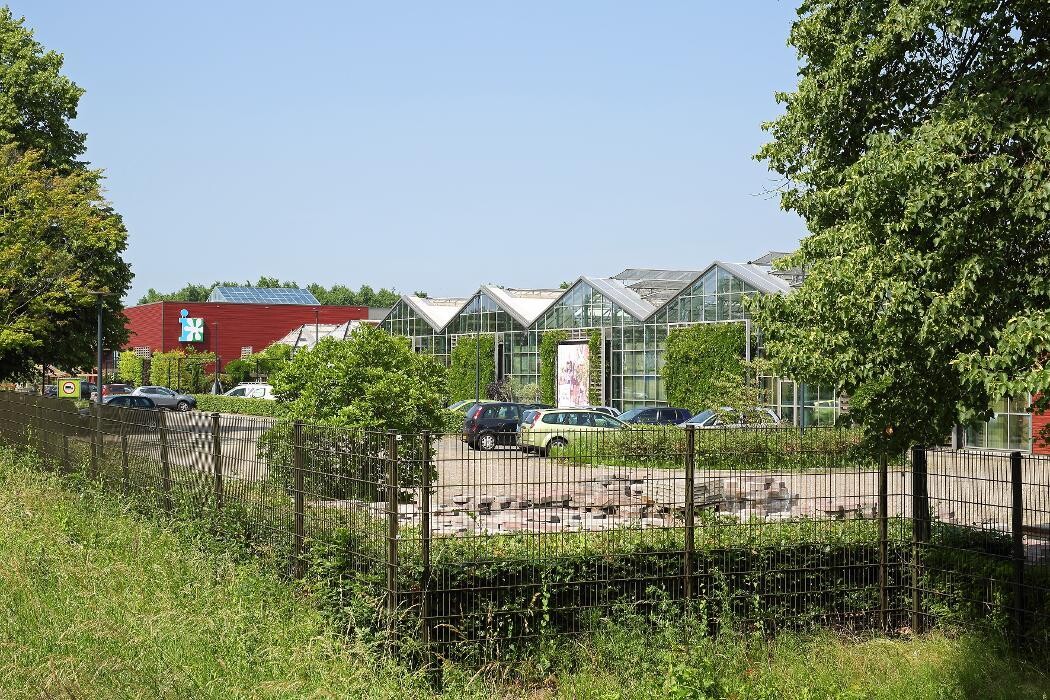 Foto's Intratuin Breda