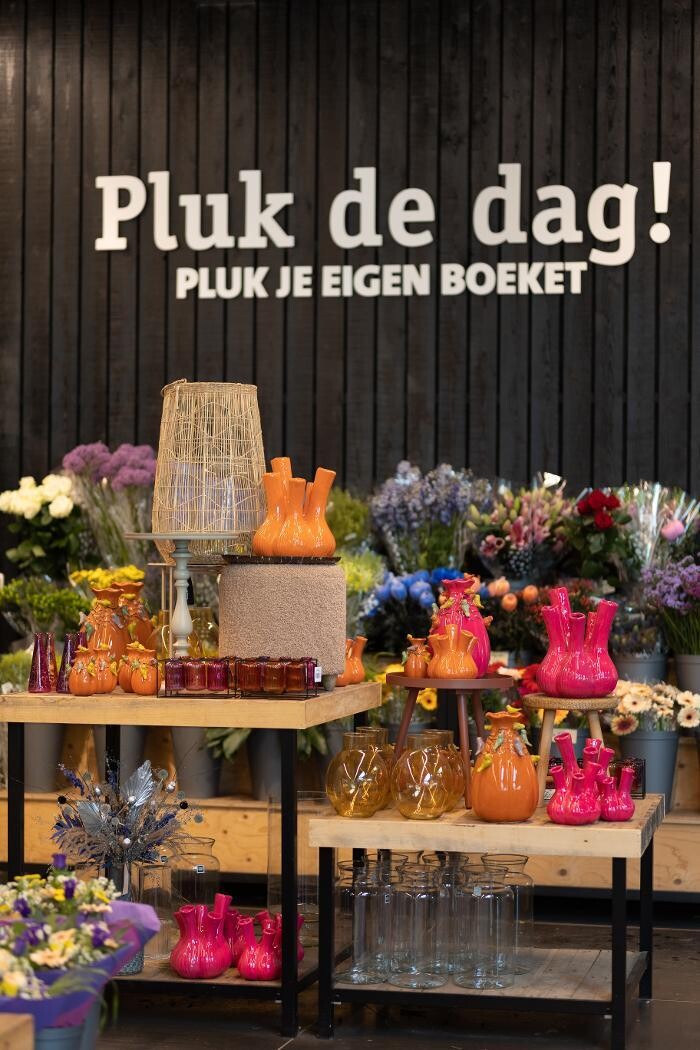 Foto's Intratuin Breda