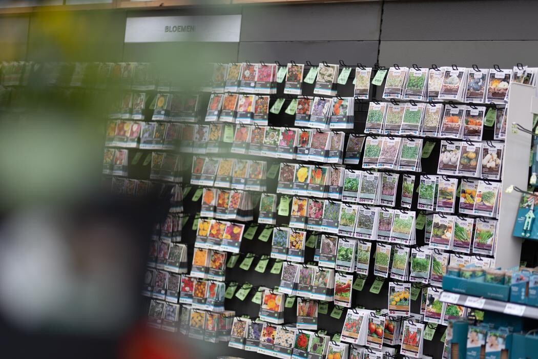 Foto's Intratuin Breda