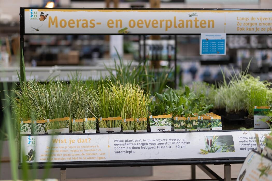 Foto's Intratuin Breda