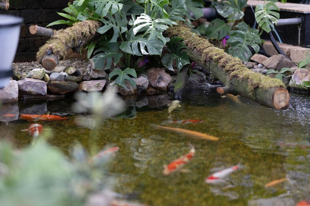 Foto's Intratuin Breda