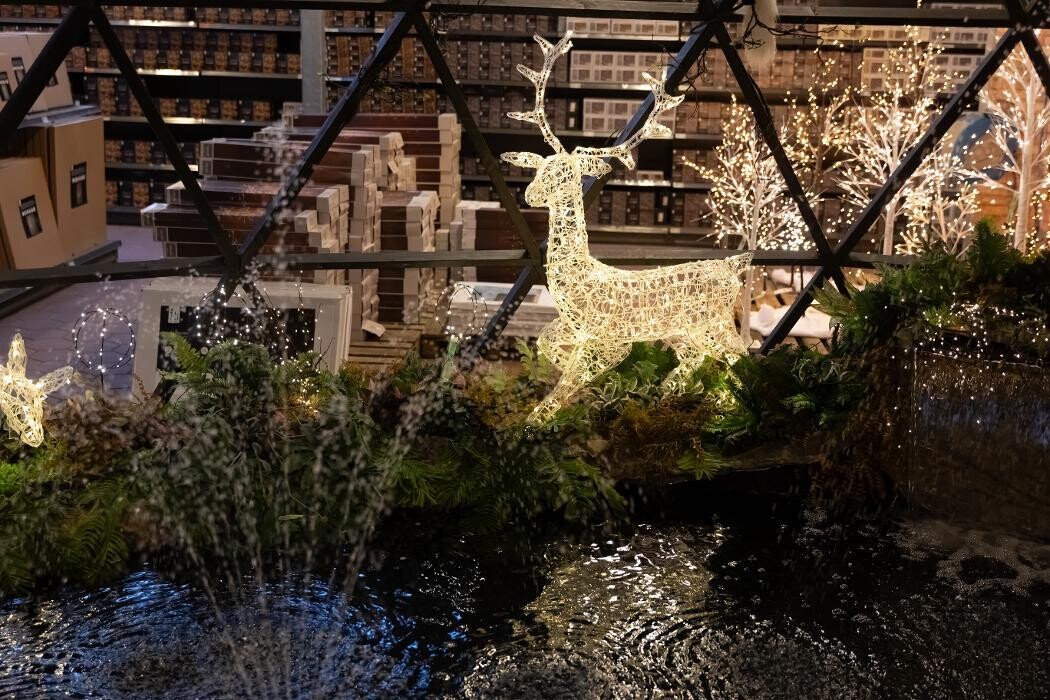 Foto's Intratuin Breda