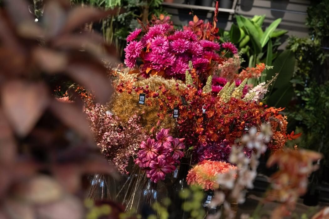 Foto's Intratuin Breda