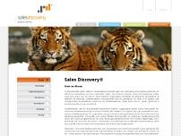 Screenshot for www.salesdiscovery.nl
