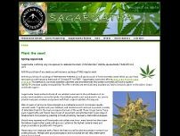 Screenshot for www.highestseeds.com