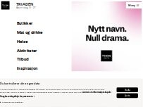 Website Screenshot Triaden