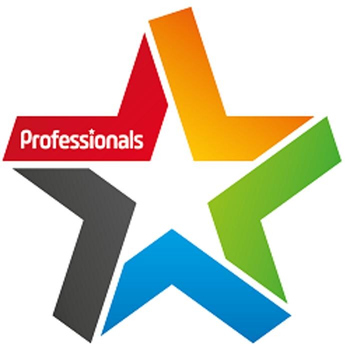 Professionals Christchurch Limited Logo