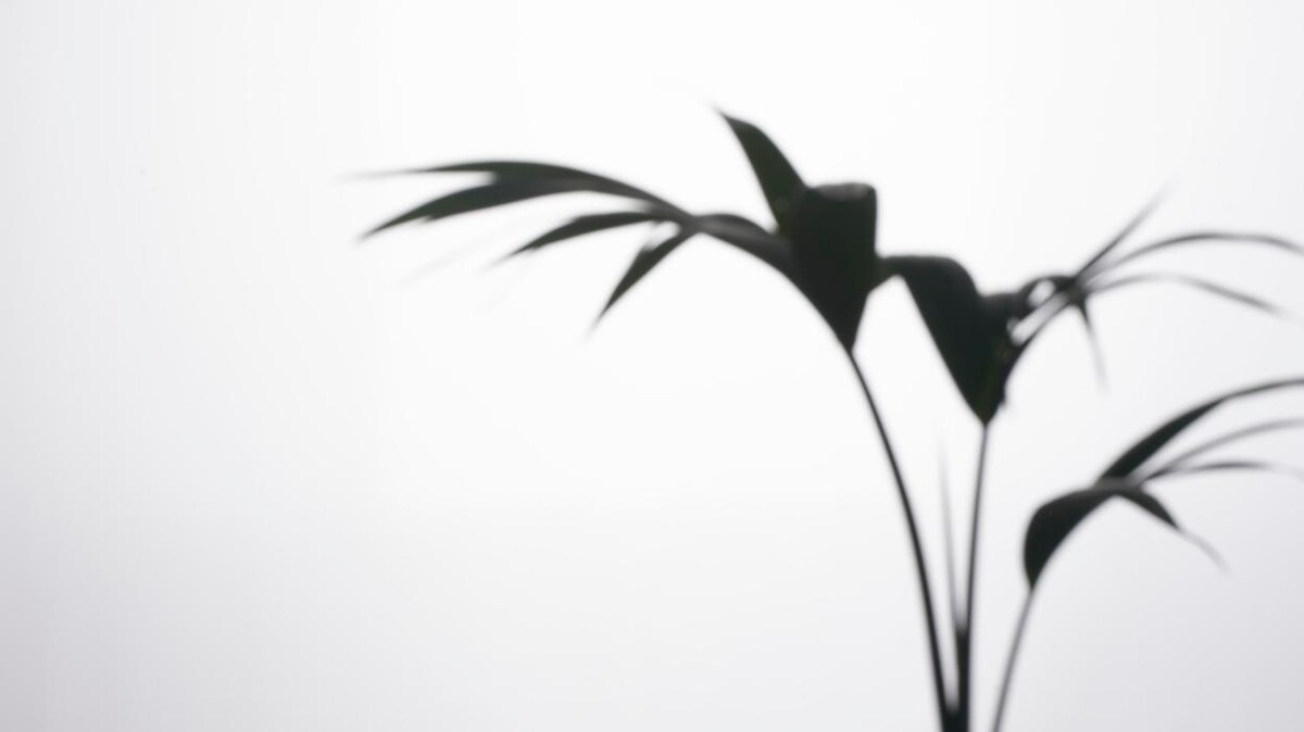 Images Finsol Financial Advisers Napier