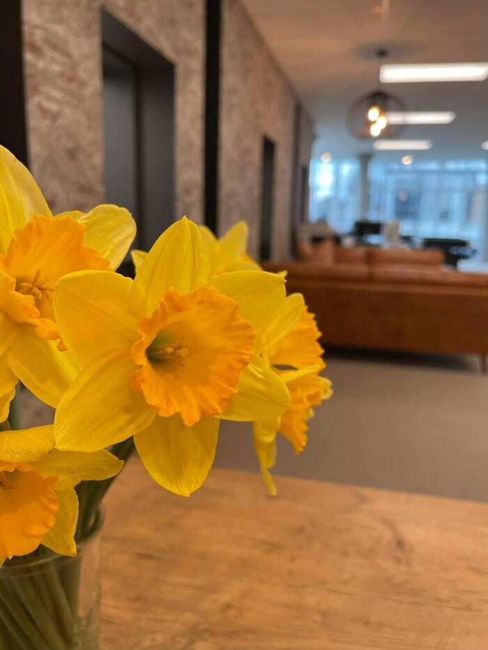 Images Back 9 Creative Studio