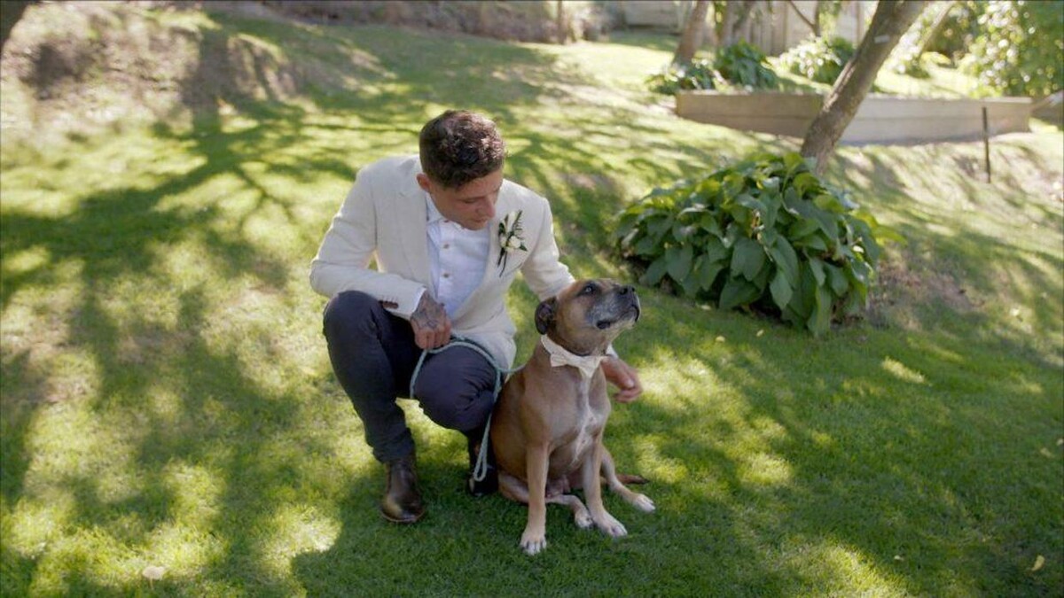 Images Toast Wedding Films