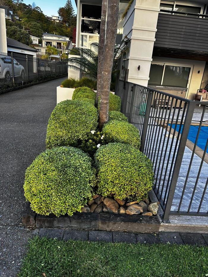 Images Lawn Masters Pukekohe